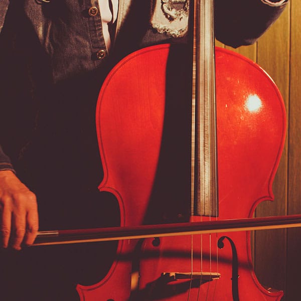 Adult Learners & Cello Lovers Corner